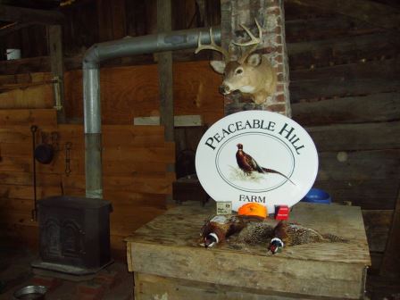 pheasant preserve hunting
